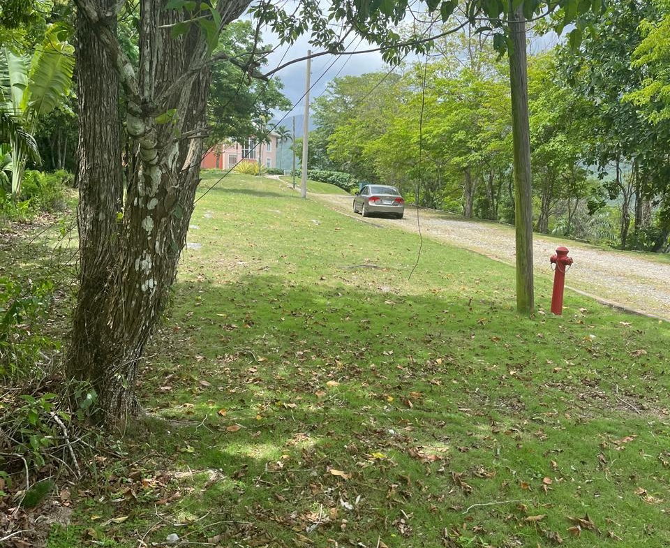 Second image of Sherbourne Close , Stony in Kingston 9, St. Andrew, Jamaica - property is For Sale