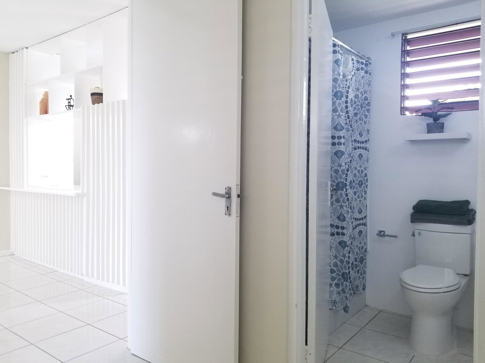 Thirteenth image of 6-5 Musgrave Avenue, Kingston in Kingston 5, St. Andrew, Jamaica - property is For Rent