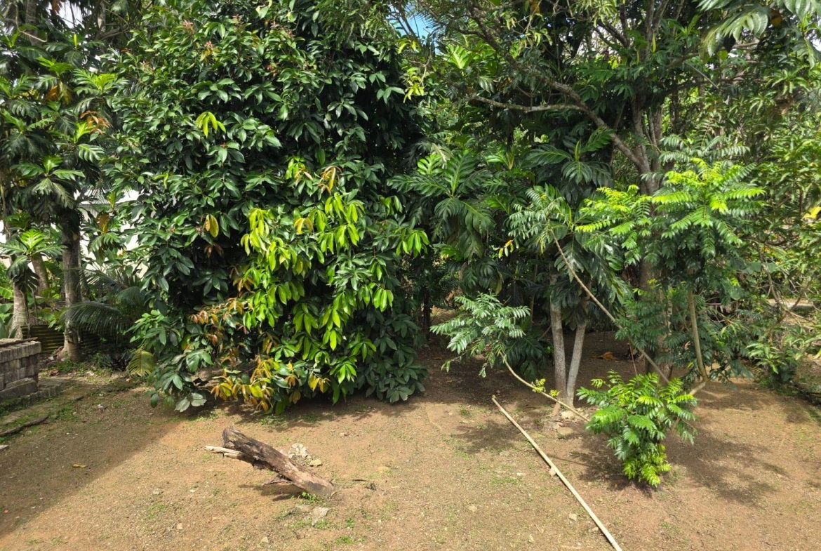 Twelfth image of 2 Byndloss, Linstead in Linstead, St. Catherine, Jamaica - property is For Sale