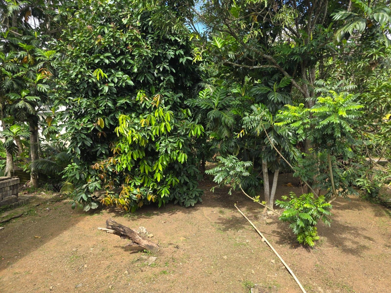 Spacious-3-Bed-2-Bath-Family-Home-For-Sale-in-Byndloss-Linstead-St.-Catherine Twelfth image of 2 Byndloss, Linstead in Linstead, St. Catherine, Jamaica - property is For Sale