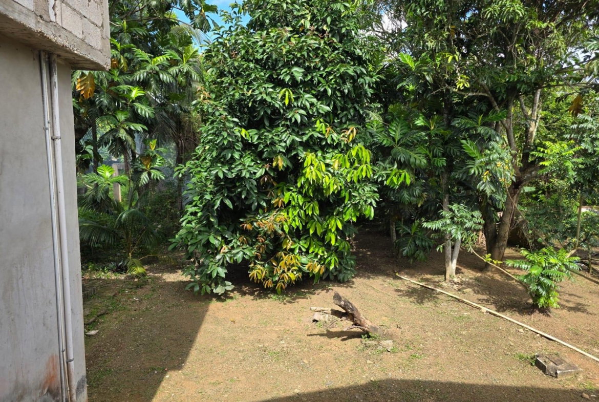 Eighteenth image of 2 Byndloss, Linstead in Linstead, St. Catherine, Jamaica - property is For Sale