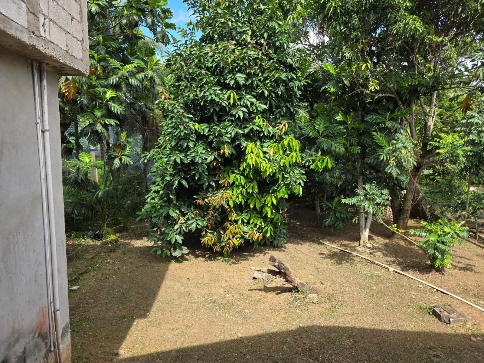 Spacious-3-Bed-2-Bath-Family-Home-For-Sale-in-Byndloss-Linstead-St.-Catherine Eighteenth image of 2 Byndloss, Linstead in Linstead, St. Catherine, Jamaica - property is For Sale