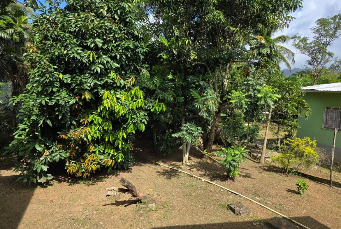 Nineteenth image of 2 Byndloss, Linstead in Linstead, St. Catherine, Jamaica - property is For Sale