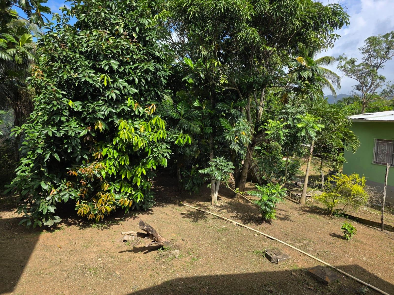 Spacious-3-Bed-2-Bath-Family-Home-For-Sale-in-Byndloss-Linstead-St.-Catherine Nineteenth image of 2 Byndloss, Linstead in Linstead, St. Catherine, Jamaica - property is For Sale