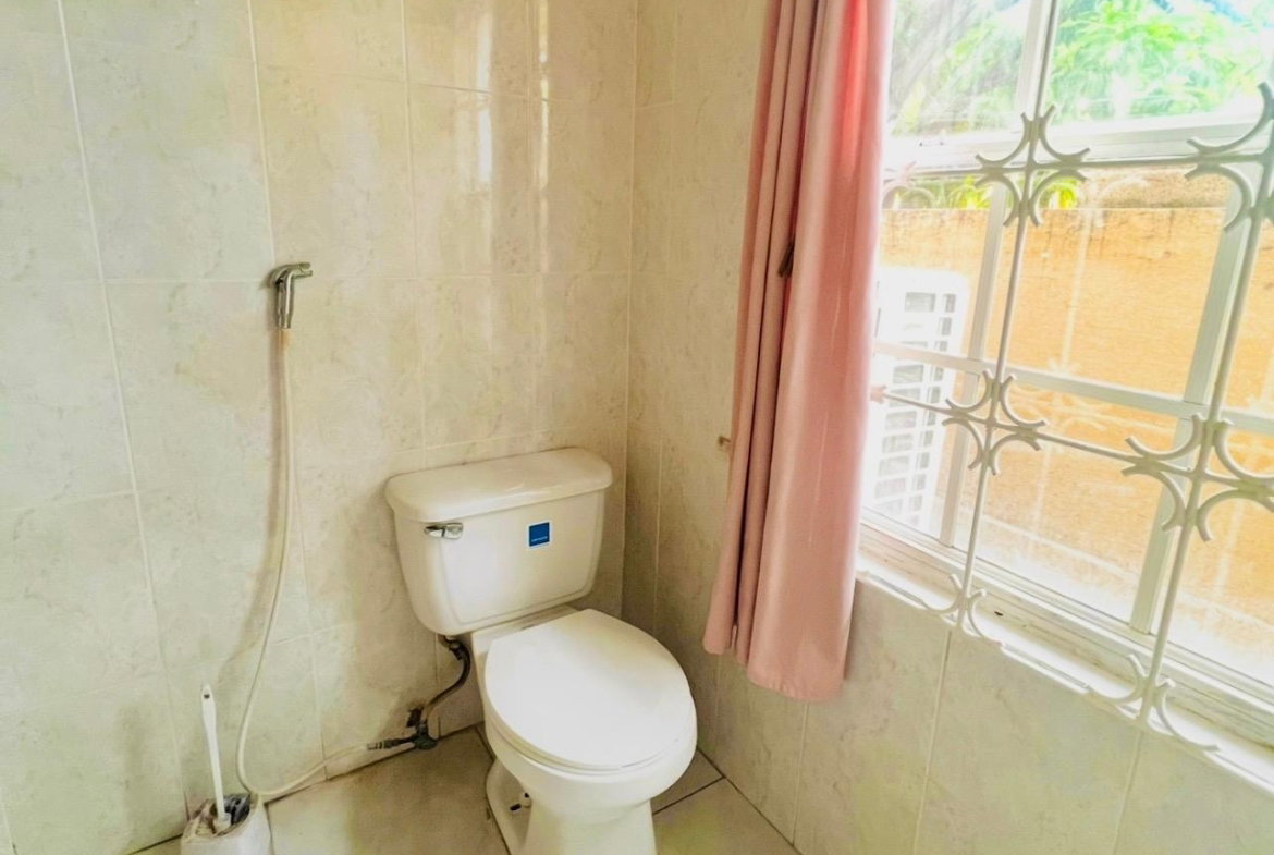 Twenty-Fifth image of 43-57-59 Deanery Road, Kingston 3 in Kingston 3, St. Andrew, Jamaica - property is For Rent