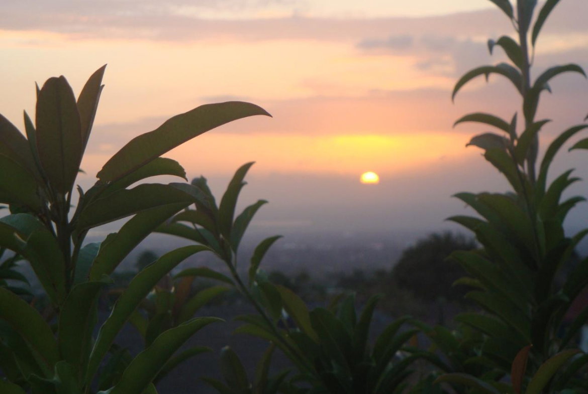 Twenty-Fifth image of n. Widcombe Heights in Kingston 6, St. Andrew, Jamaica - property is For Sale