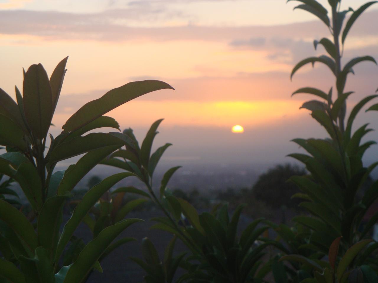 Twenty-Fifth image of n. Widcombe Heights in Kingston 6, St. Andrew, Jamaica - property is For Sale