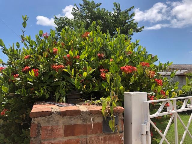 Twenty-Ninth image of n. Widcombe Heights in Kingston 6, St. Andrew, Jamaica - property is For Sale