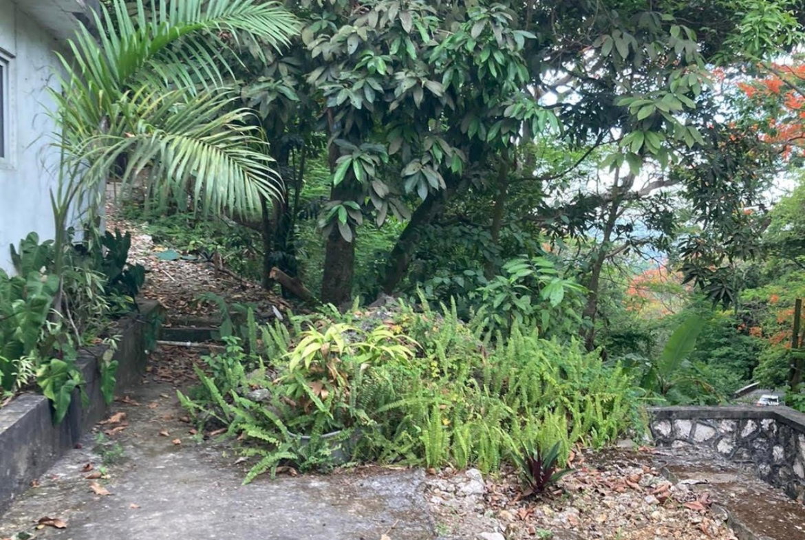 Third image of Lipscombe Avenue in Kingston 9, St. Andrew, Jamaica - property is For Sale