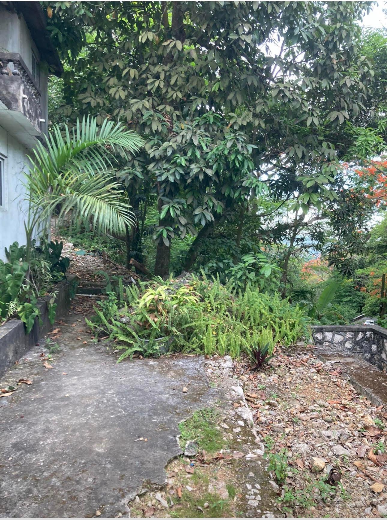 Third image of Lipscombe Avenue in Kingston 9, St. Andrew, Jamaica - property is For Sale