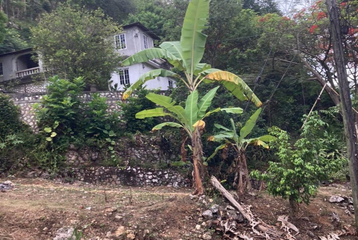 Fourth image of Lipscombe Avenue in Kingston 9, St. Andrew, Jamaica - property is For Sale