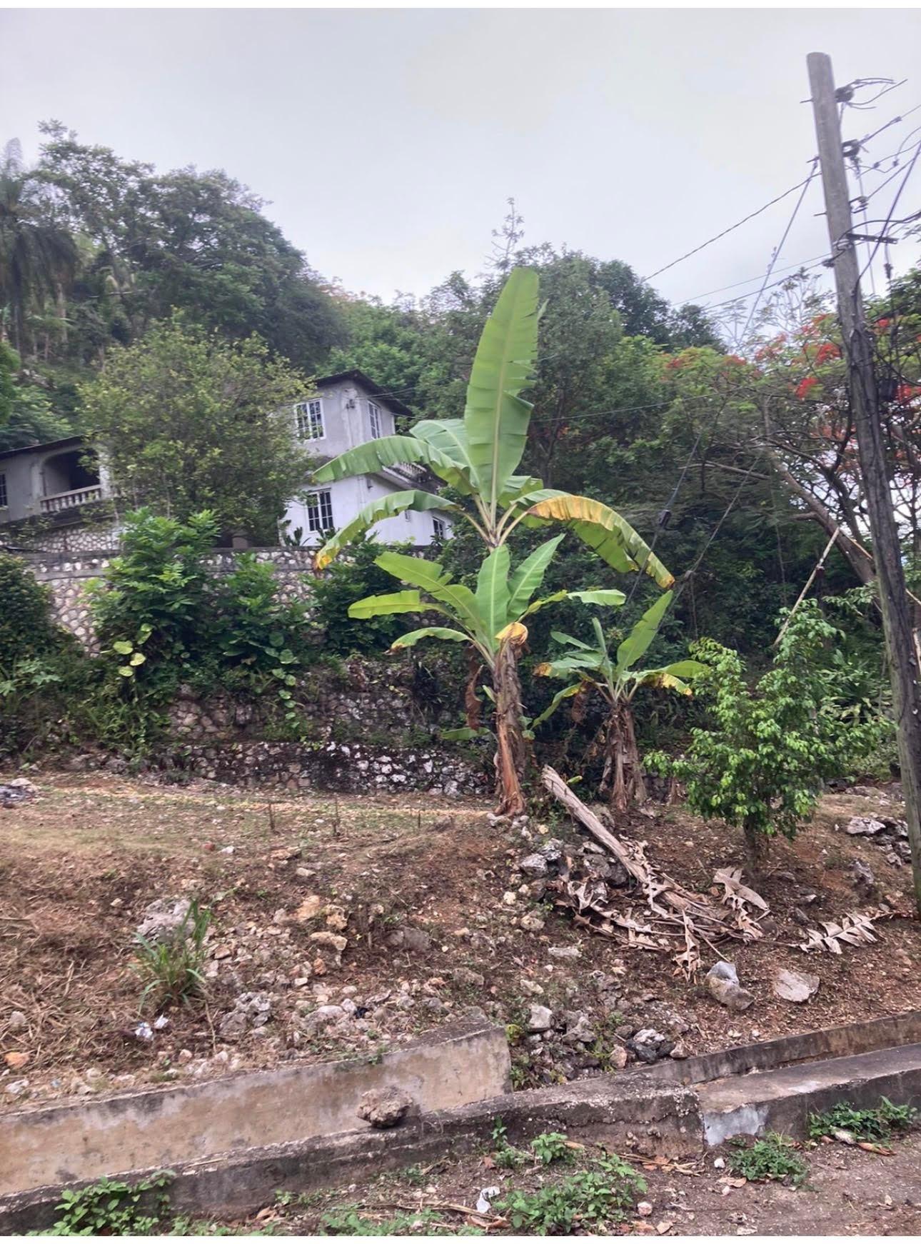 Fourth image of Lipscombe Avenue in Kingston 9, St. Andrew, Jamaica - property is For Sale