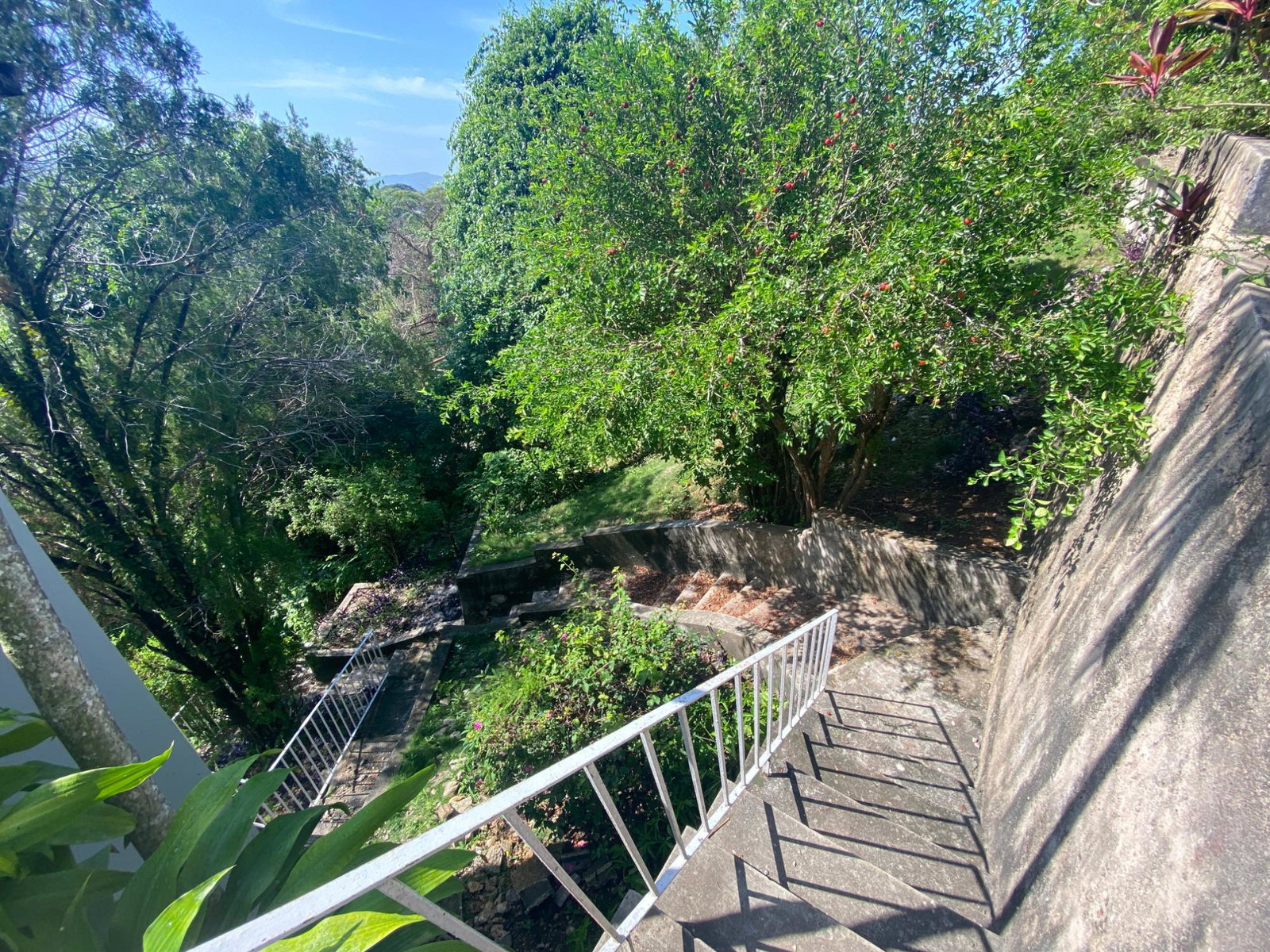 Spacious-5-Bedroom-House-for-Sale-at-6-Ridge-Terrace-St.-Andrew-Jamaica Third image of 6 Ridge Terrace in Kingston 8, St. Andrew, Jamaica - property is For Sale