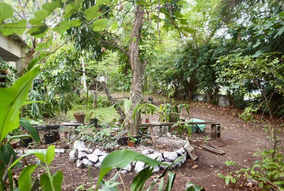 Second image of 75 Hope Boulevard, Hope Pas in Kingston 6, St. Andrew, Jamaica - property is For Sale