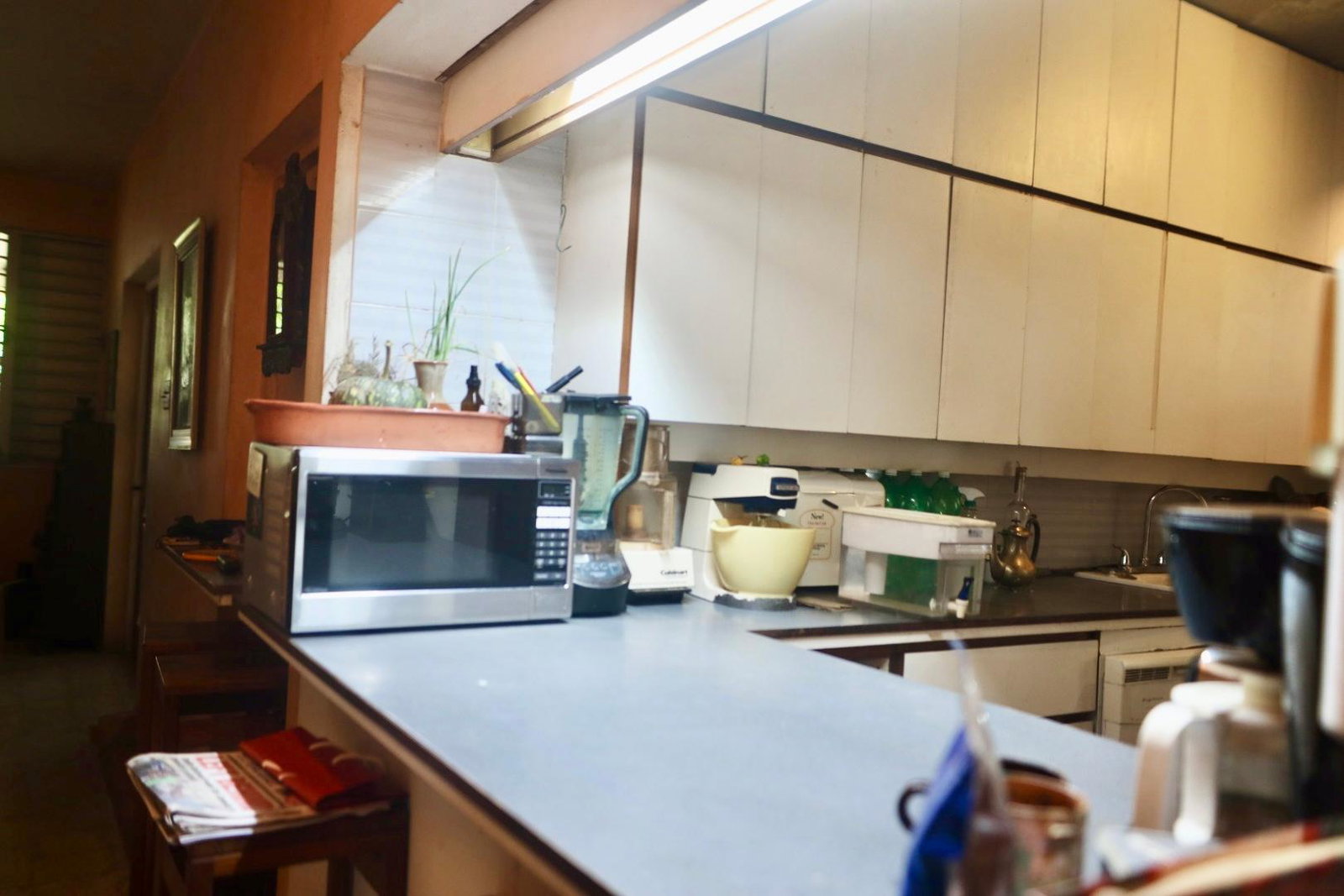 Thirteenth image of 75 Hope Boulevard, Hope Pas in Kingston 6, St. Andrew, Jamaica - property is For Sale