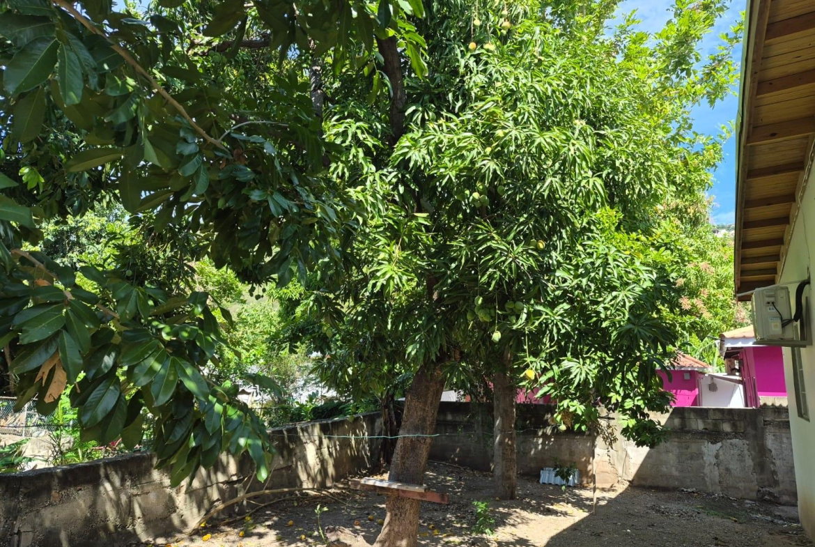 Twenty-First image of 156 Ridgeway Road, Meadowbroo in Kingston 19, St. Andrew, Jamaica - property is For Sale