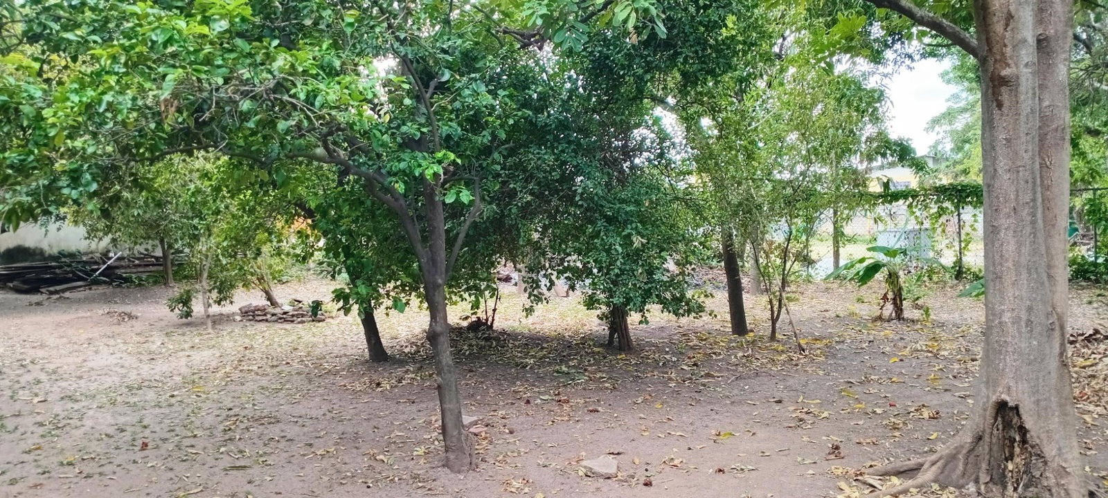 Twenty-First image of House-5 Lyndale Avenue, Kingston in Kingston 20, St. Andrew, Jamaica - property is For Sale