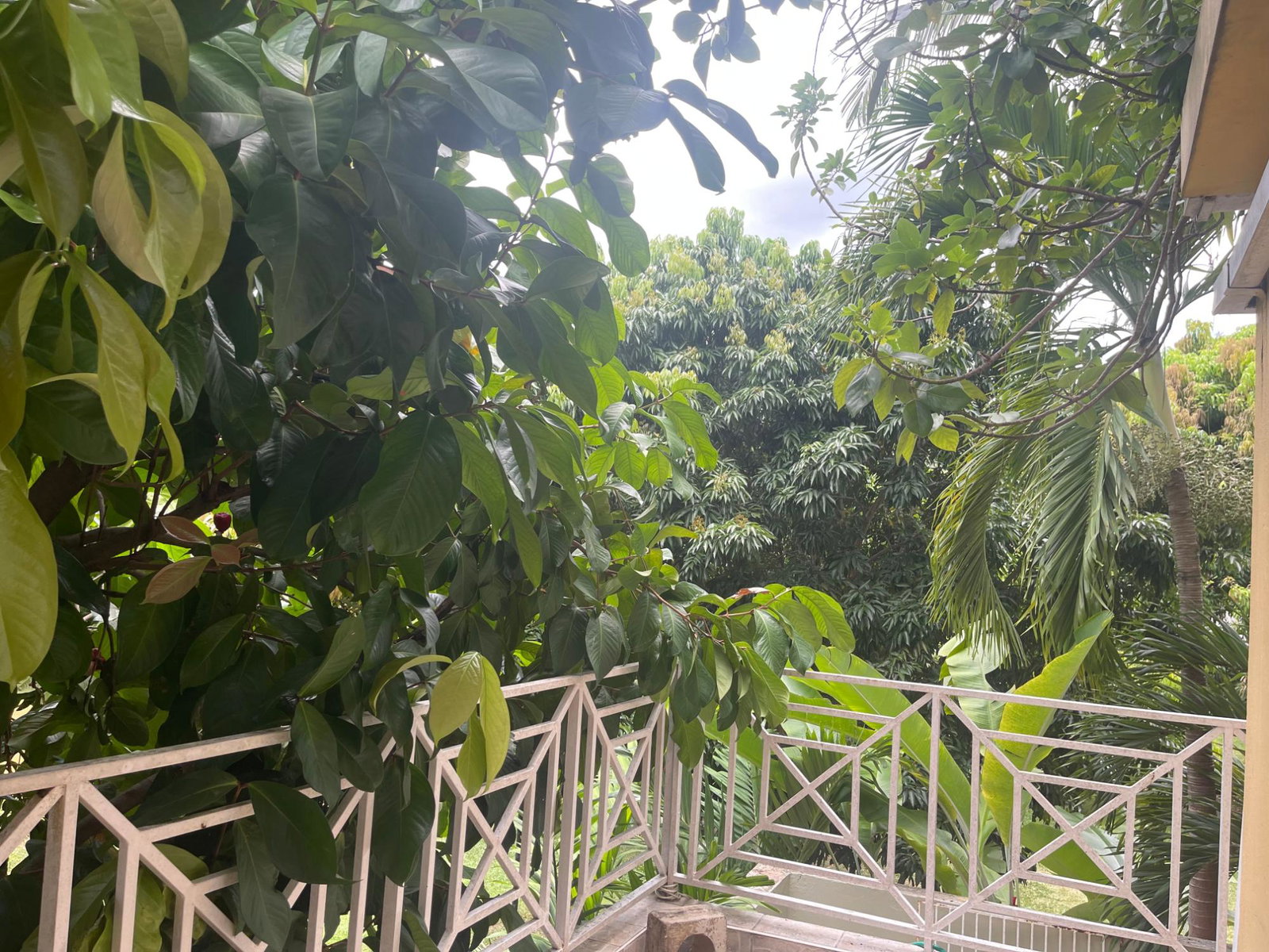 Spacious-5-Bedroom-Townhouse-for-Sale-in-Manor-Park-St.-Andrew-Jamaica Fifteenth image of 29-12 Broadway Road, Manor Park in Kingston 8, St. Andrew, Jamaica - property is For Sale