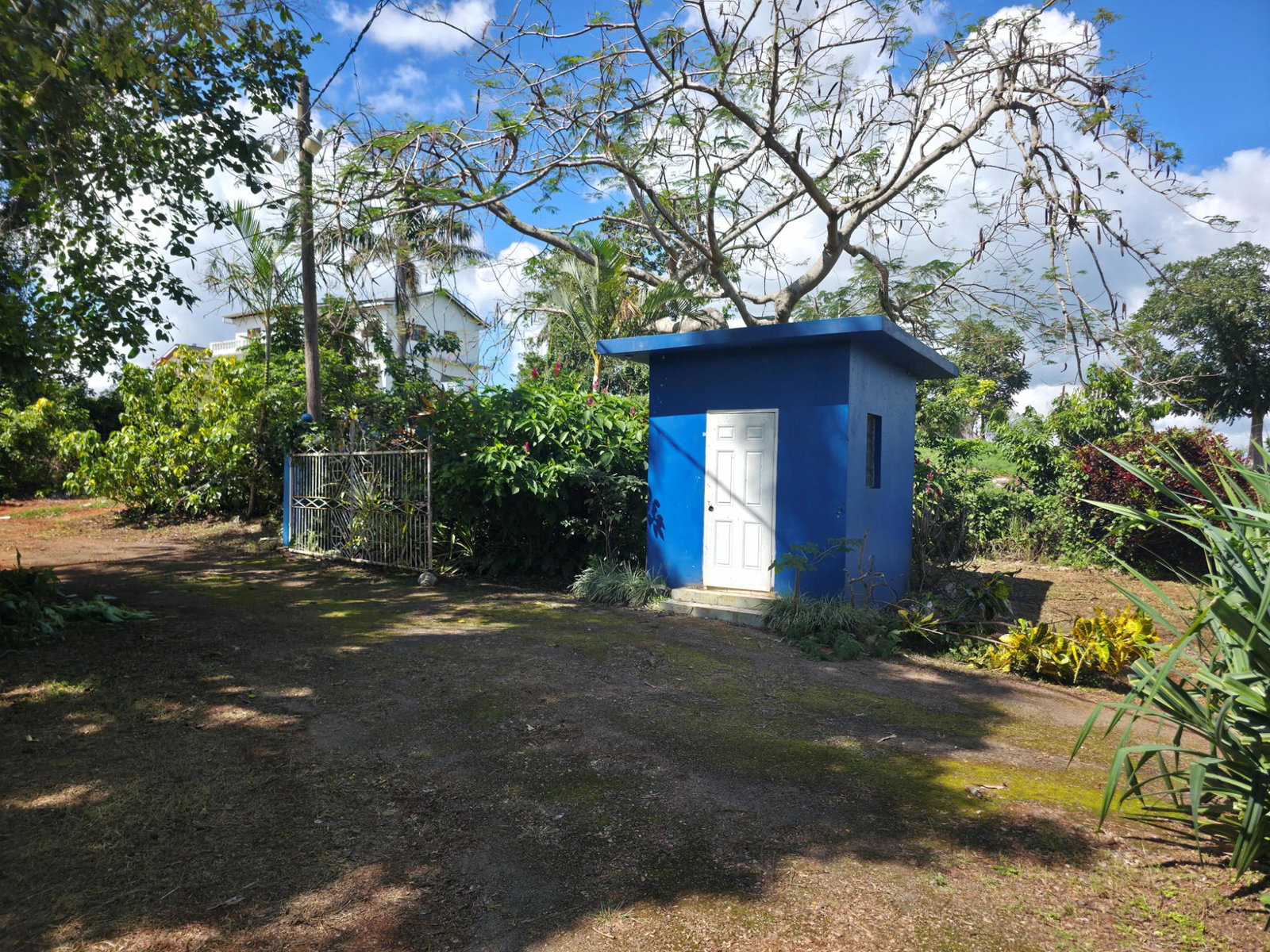 Sixth image of 3 Perth Road in Mandeville, Manchester, Jamaica - property is For Rent
