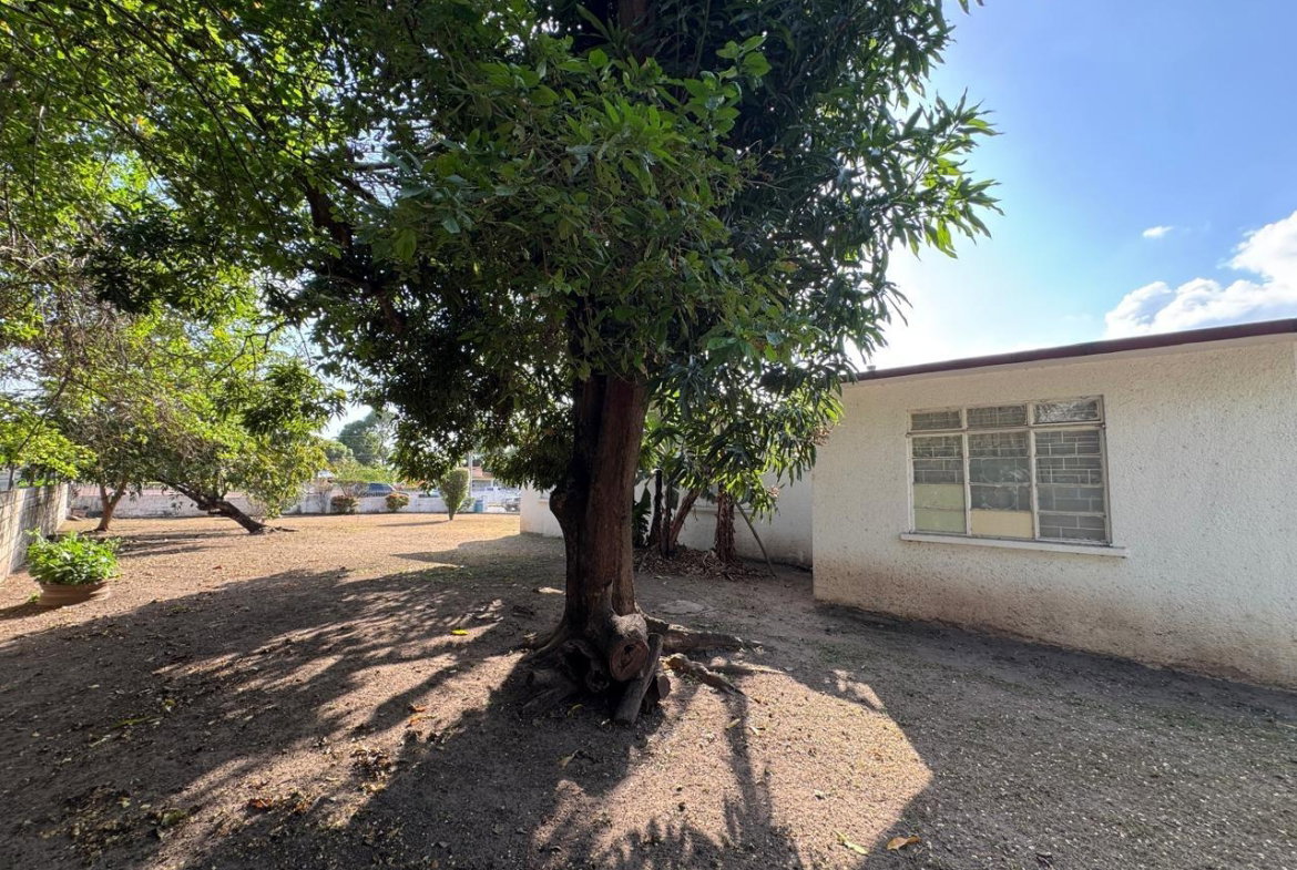 Eleventh image of 12 Knightsdale Drive in Kingston 19, St. Andrew, Jamaica - property is For Sale