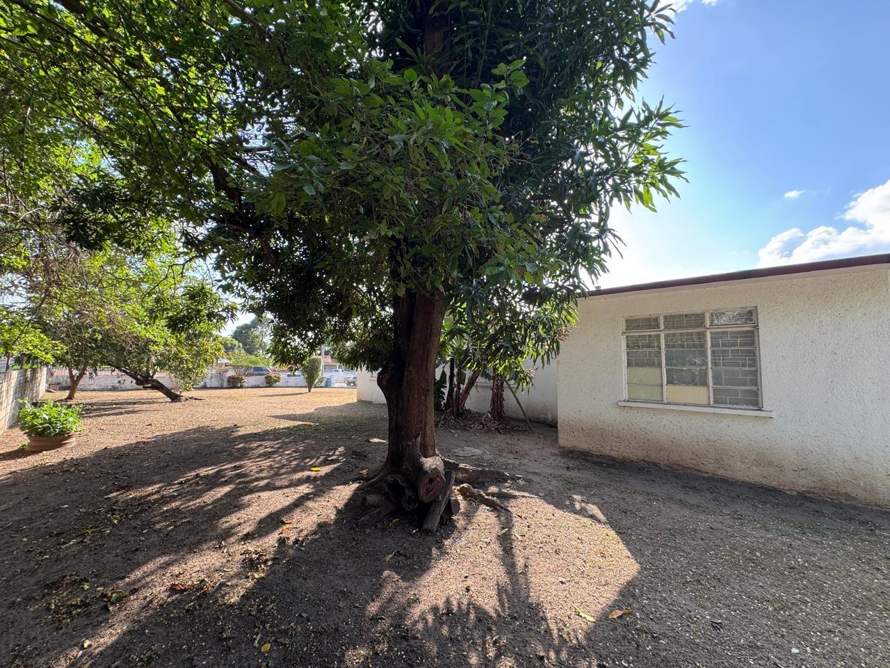 Spacious-6-Bedroom-House-for-Sale-in-St.-Andrew-Jamaica-–-Prime-Location Eleventh image of 12 Knightsdale Drive in Kingston 19, St. Andrew, Jamaica - property is For Sale