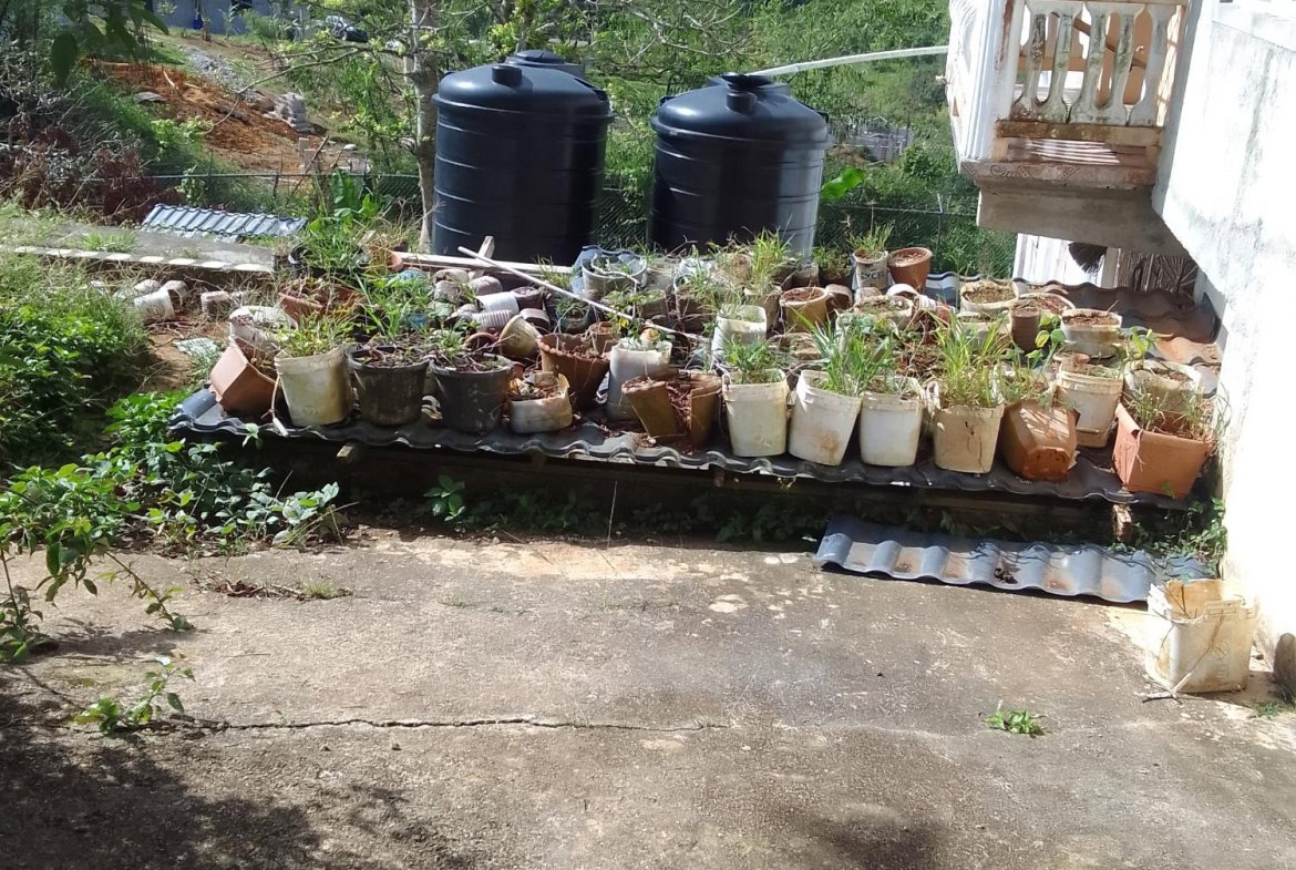 Sixteenth image of Silent Hill, Coleyville, in Christiana, Manchester, Jamaica - property is For Sale