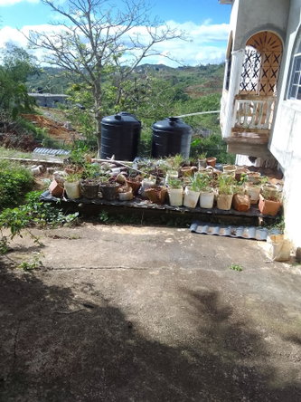 Sixteenth image of Silent Hill, Coleyville, in Christiana, Manchester, Jamaica - property is For Sale
