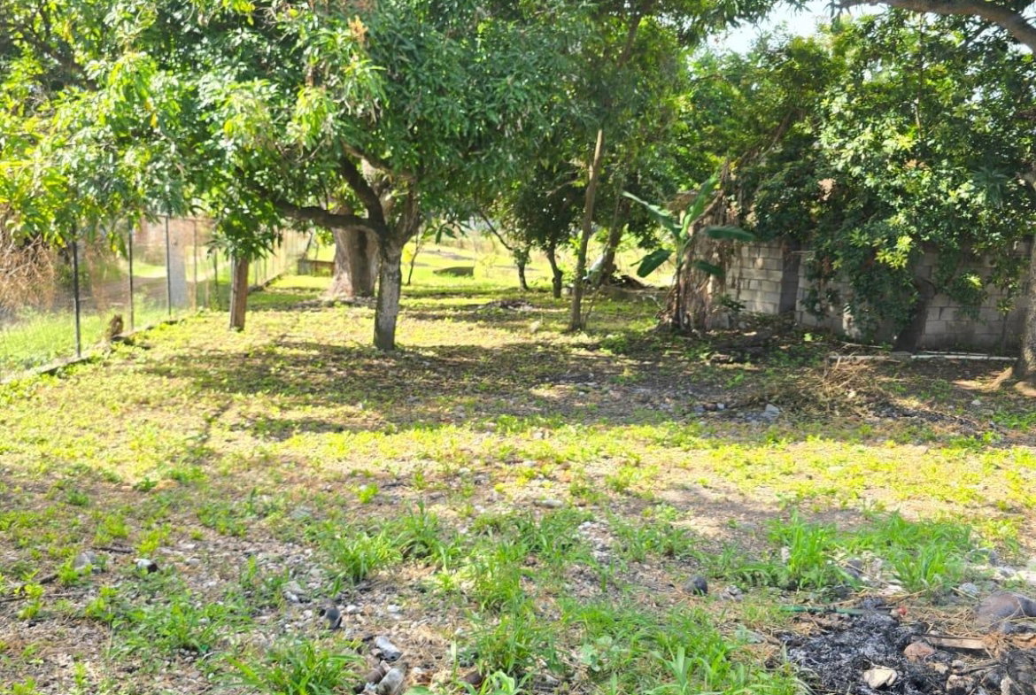 Thirteenth image of 22a Juno Crescent in May Pen, Clarendon, Jamaica - property is For Sale
