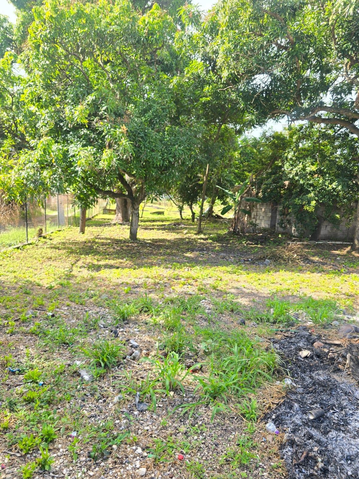 Thirteenth image of 22a Juno Crescent in May Pen, Clarendon, Jamaica - property is For Sale