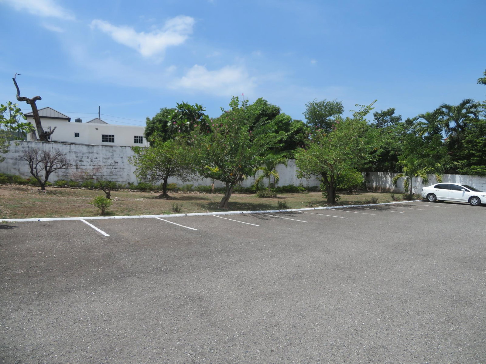 Starter-Apartment-for-Sale-in-Ravinia-Terrace-St.-Andrew-Jamaica Fourth image of Apt#12-14-16 Ravinia Terrace in Kingston 6, St. Andrew, Jamaica - property is For Sale