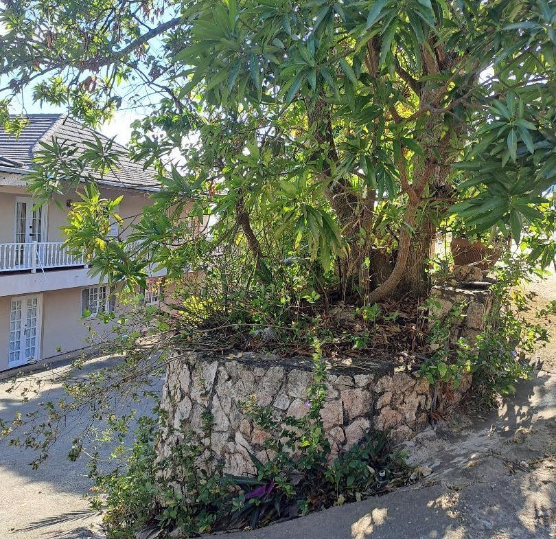 Tenth image of Sterling Castle in Red Hills, St. Andrew, Jamaica - property is For Sale