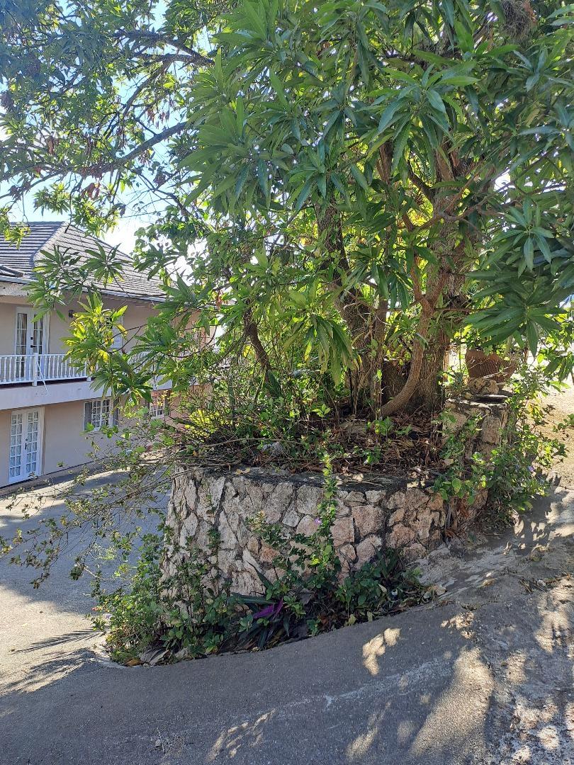 Tenth image of Sterling Castle in Red Hills, St. Andrew, Jamaica - property is For Sale