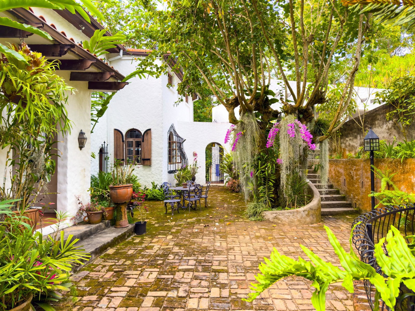 Stunning-3-Bedroom-House-for-Rent-in-St.-Andrew-Jamaica-Dream-Time-Home Sixteenth image of 1 Dustry Road in Irish Town P.A., St. Andrew, Jamaica - property is For Rent