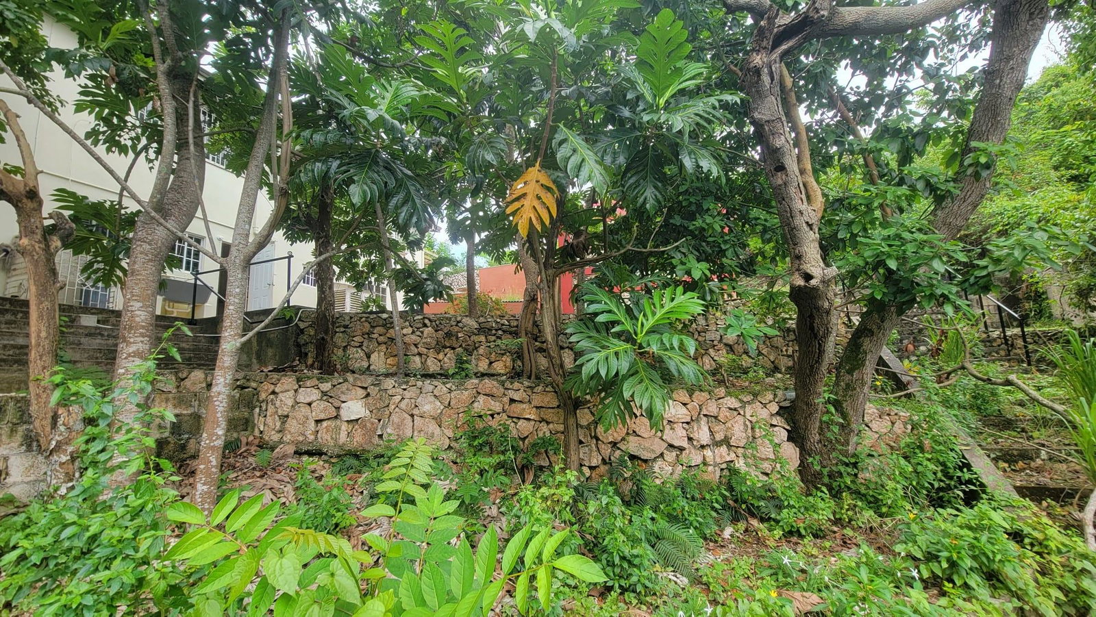 Twentieth image of 06 Powell Close in Kingston 19, St. Andrew, Jamaica - property is For Sale