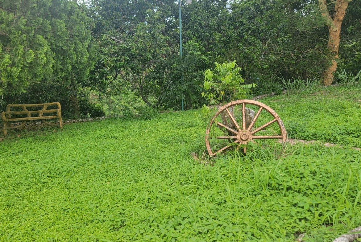 Twenty-Seventh image of 06 Powell Close in Kingston 19, St. Andrew, Jamaica - property is For Sale