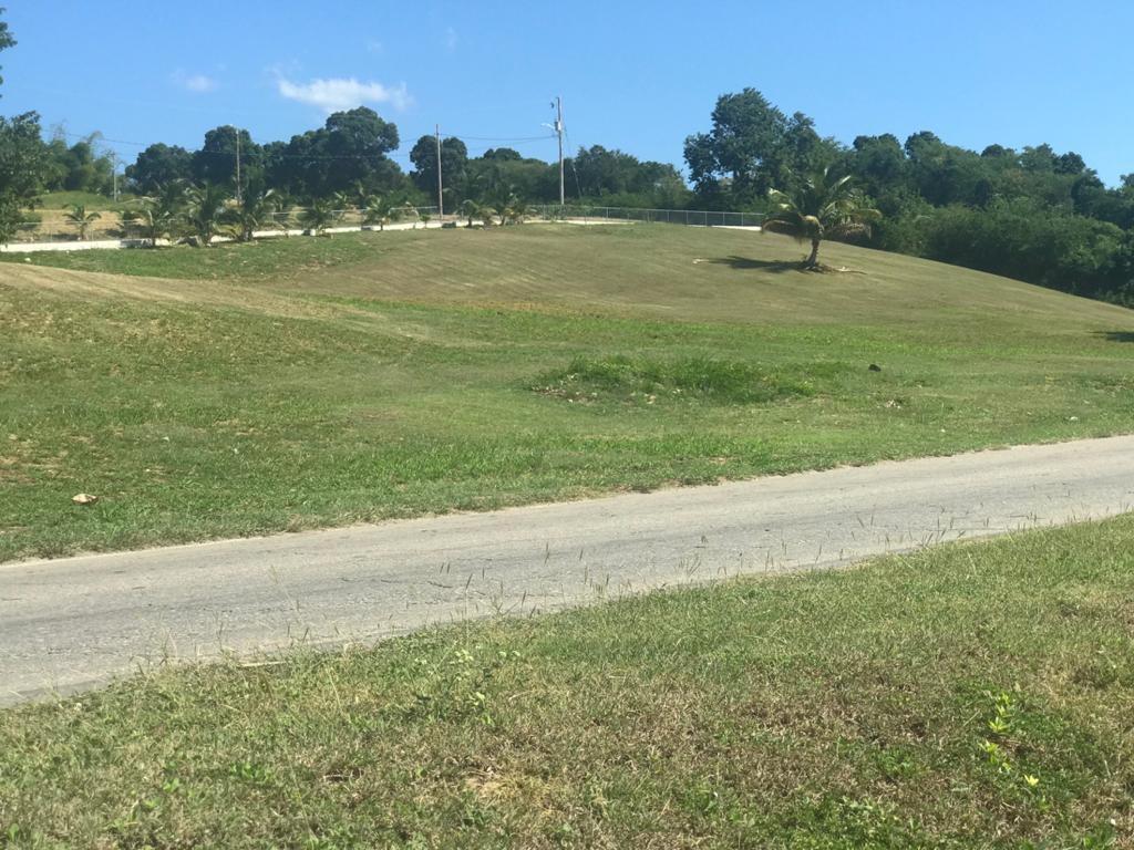 Second image of 39 Paradiso in White House WD, Westmoreland, Jamaica - property is For Sale