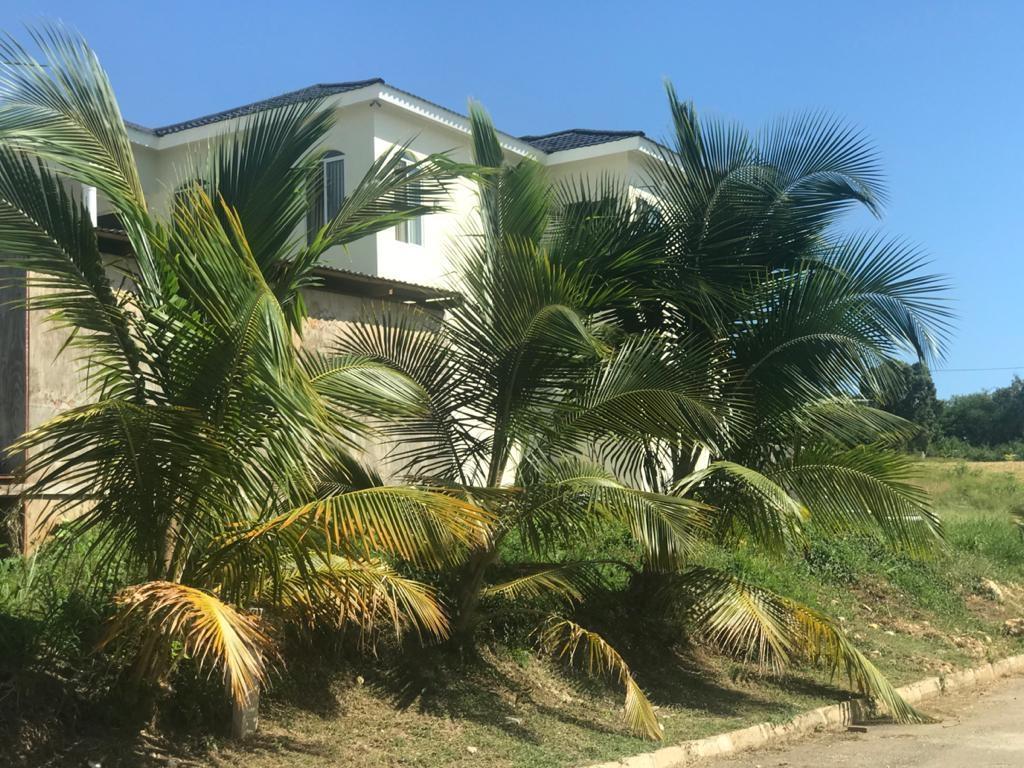 Fifth image of 39 Paradiso in White House WD, Westmoreland, Jamaica - property is For Sale