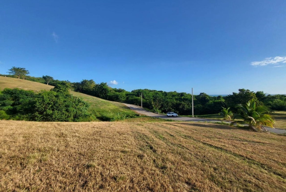 Seventh image of 39 Paradiso in White House WD, Westmoreland, Jamaica - property is For Sale