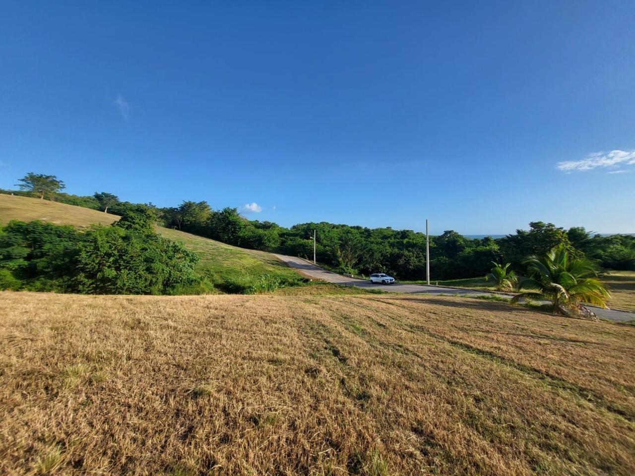 Stunning-Residential-Lot-for-Sale-in-WhiteHouse-Westmoreland-Jamaica Seventh image of 39 Paradiso in White House WD, Westmoreland, Jamaica - property is For Sale