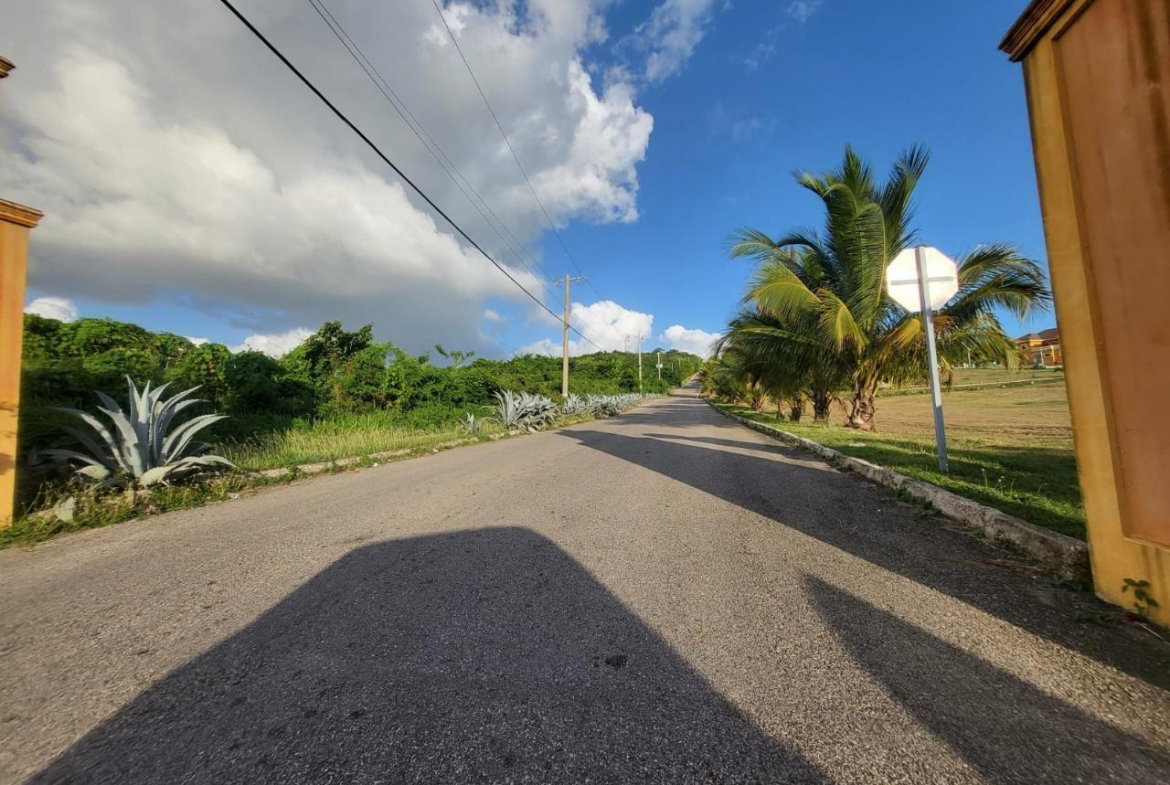 Ninth image of 39 Paradiso in White House WD, Westmoreland, Jamaica - property is For Sale