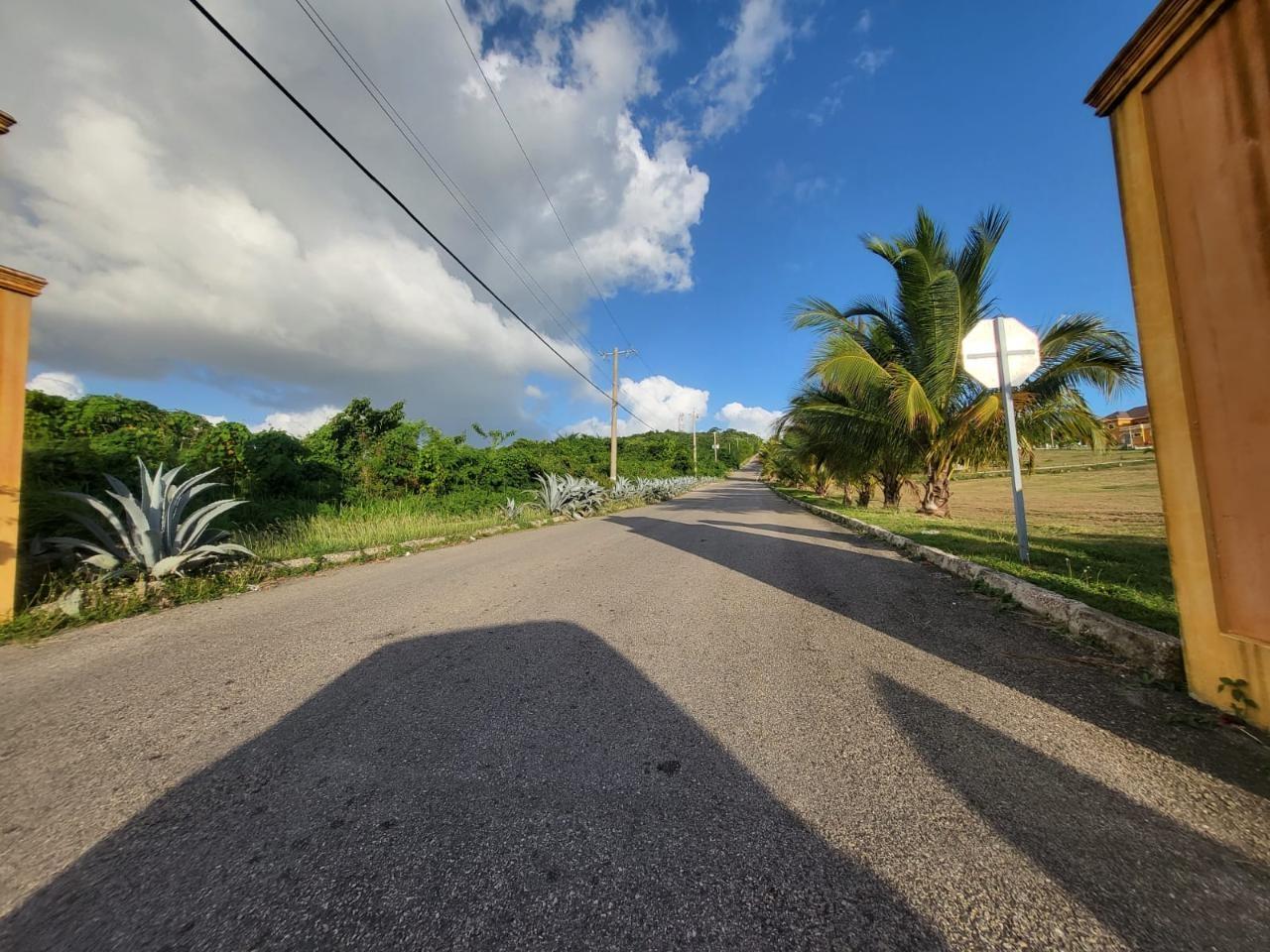 Stunning-Residential-Lot-for-Sale-in-WhiteHouse-Westmoreland-Jamaica Ninth image of 39 Paradiso in White House WD, Westmoreland, Jamaica - property is For Sale