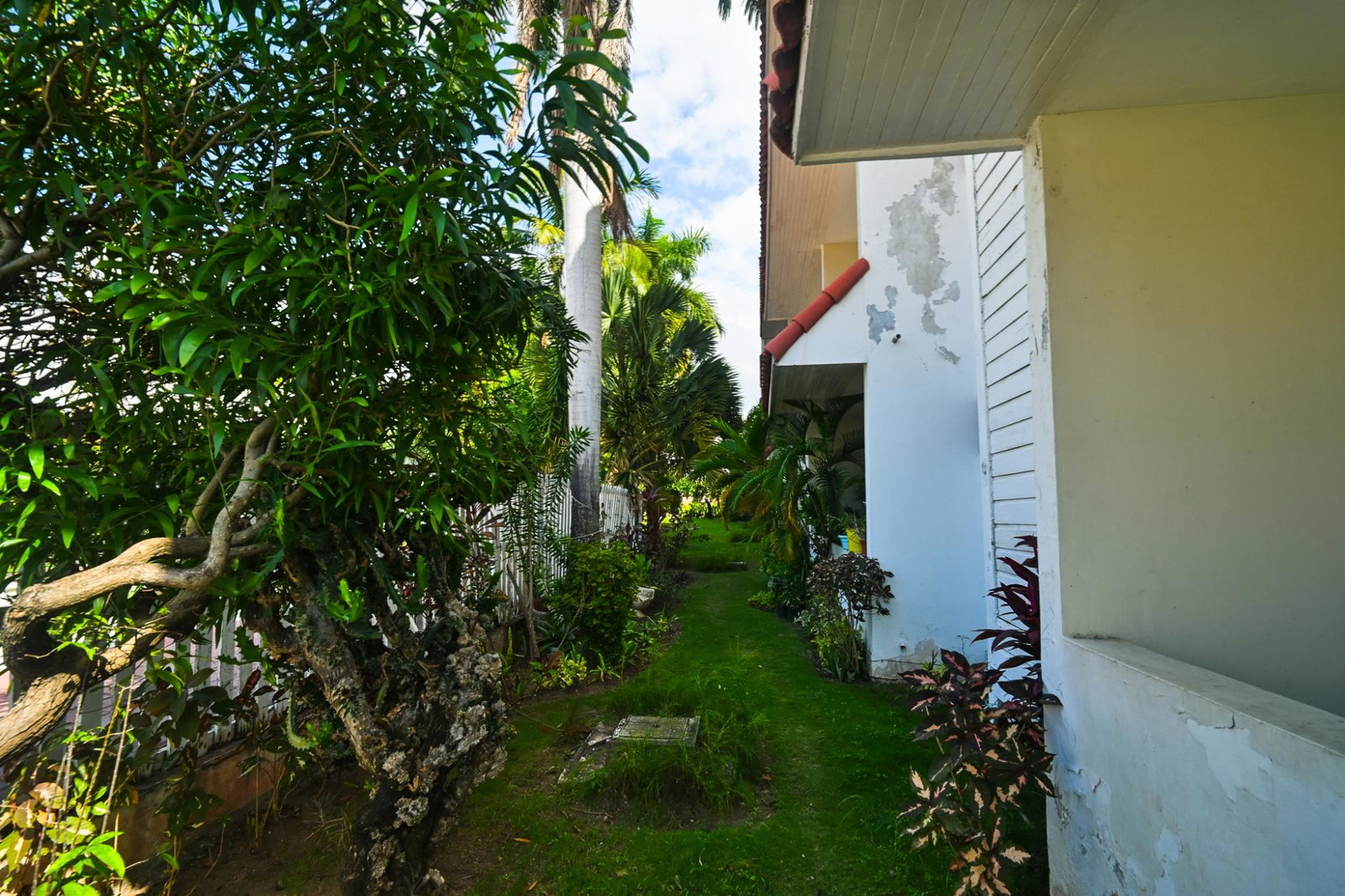 Tranquil-1-Bedroom-Apartment-for-Sale-at-15-2-Hillman-Road-St.-Andrew-Jamaica Sixteenth image of 15-2 Hillman Road in Kingston 8, St. Andrew, Jamaica - property is For Sale