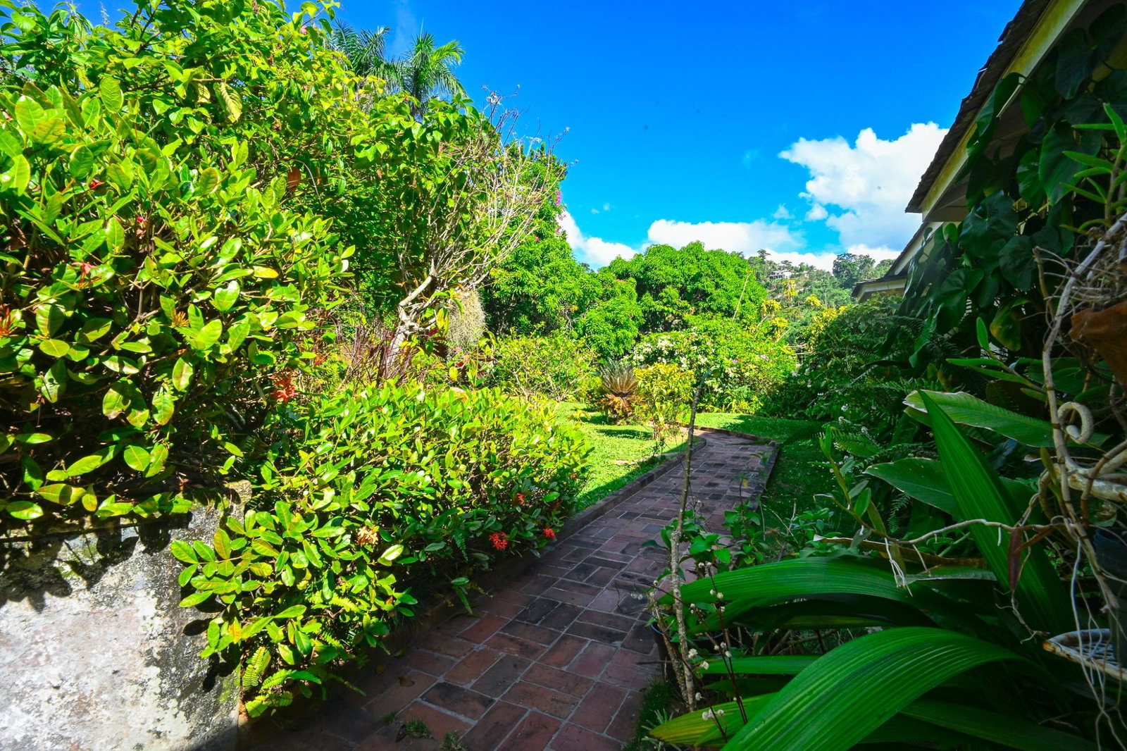 Seventh image of 5 Diamond Road, Stony Hill in Kingston 9, St. Andrew, Jamaica - property is For Sale