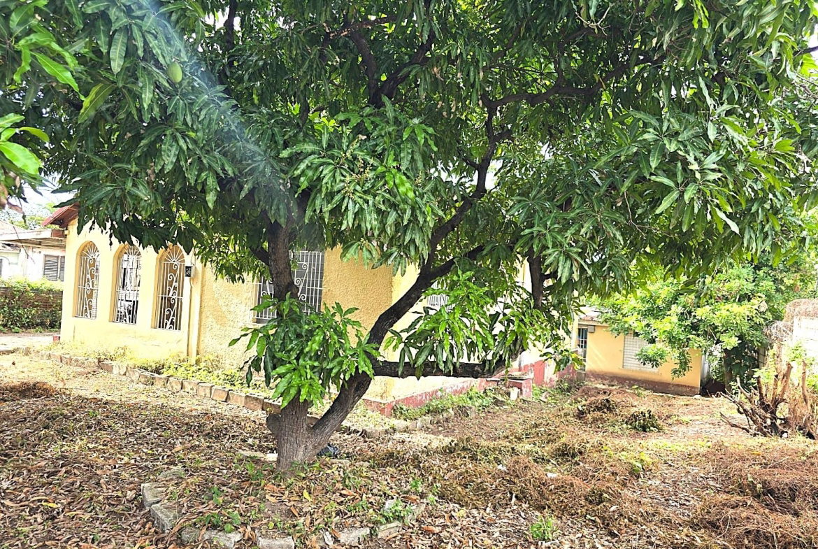 Sixth image of First Ave,vinyard Town in Kingston 3, St. Andrew, Jamaica - property is For Sale