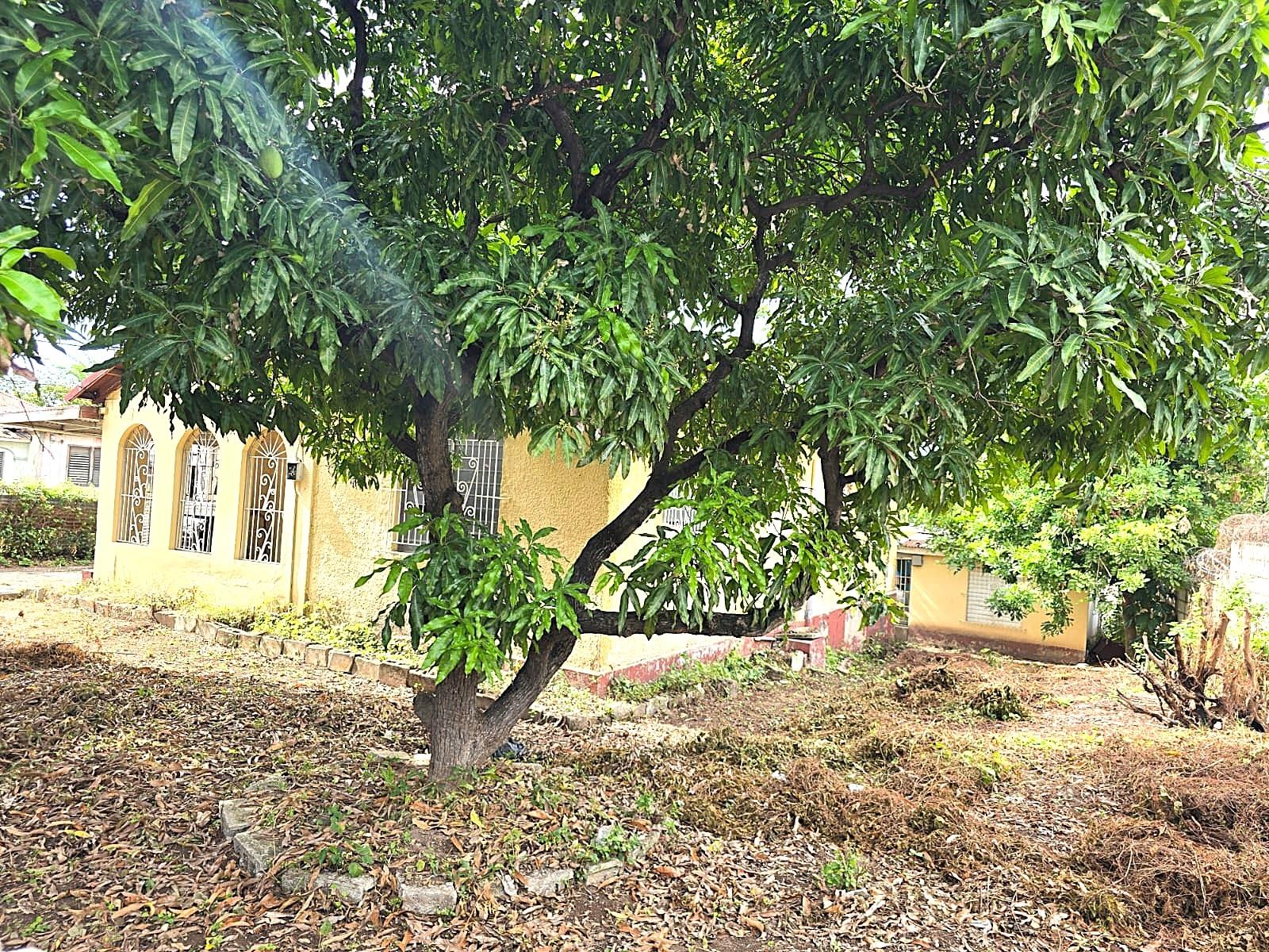 Sixth image of First Ave,vinyard Town in Kingston 3, St. Andrew, Jamaica - property is For Sale