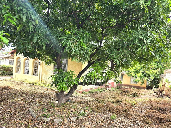 Sixth image of First Ave,vinyard Town in Kingston 3, St. Andrew, Jamaica - property is For Sale