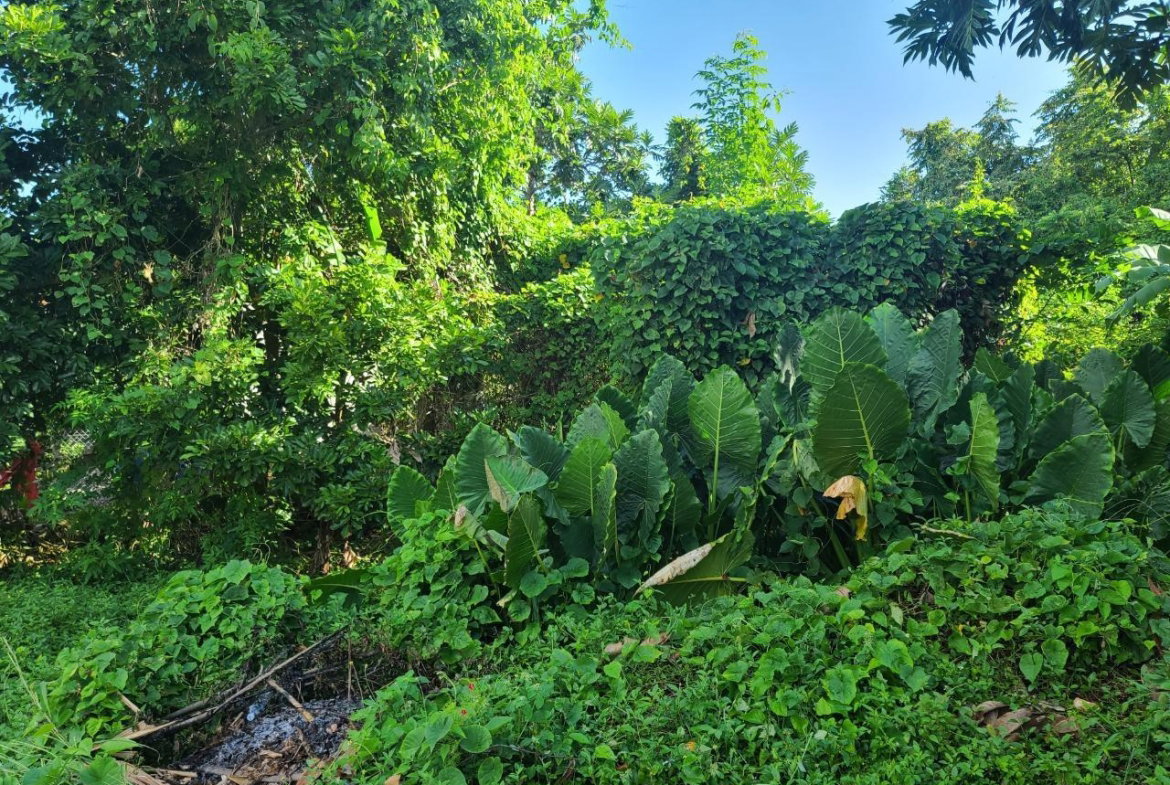 Seventh image of 99 Boscobel Phase 1 in Boscobel, St. Mary, Jamaica - property is For Sale