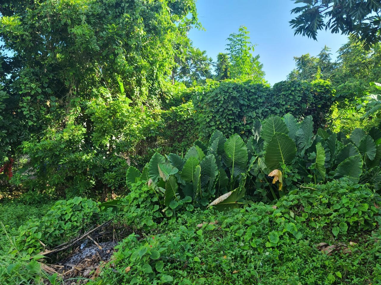 Unfinished-2-Storey-Home-Lot-in-Boscobel-Phase-1-St.-Mary-Sea-Mountain-Airport-Views Seventh image of 99 Boscobel Phase 1 in Boscobel, St. Mary, Jamaica - property is For Sale