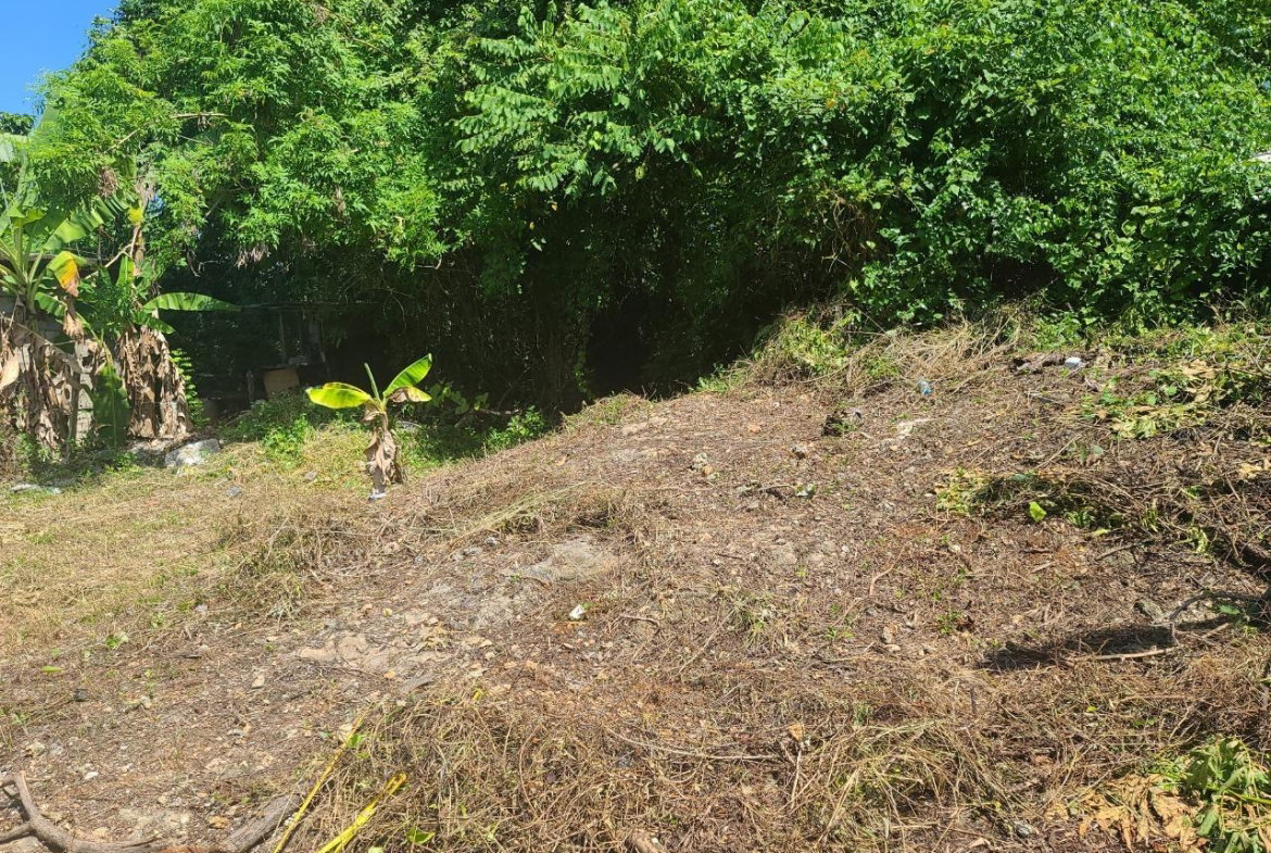 Tenth image of 99 Boscobel Phase 1 in Boscobel, St. Mary, Jamaica - property is For Sale