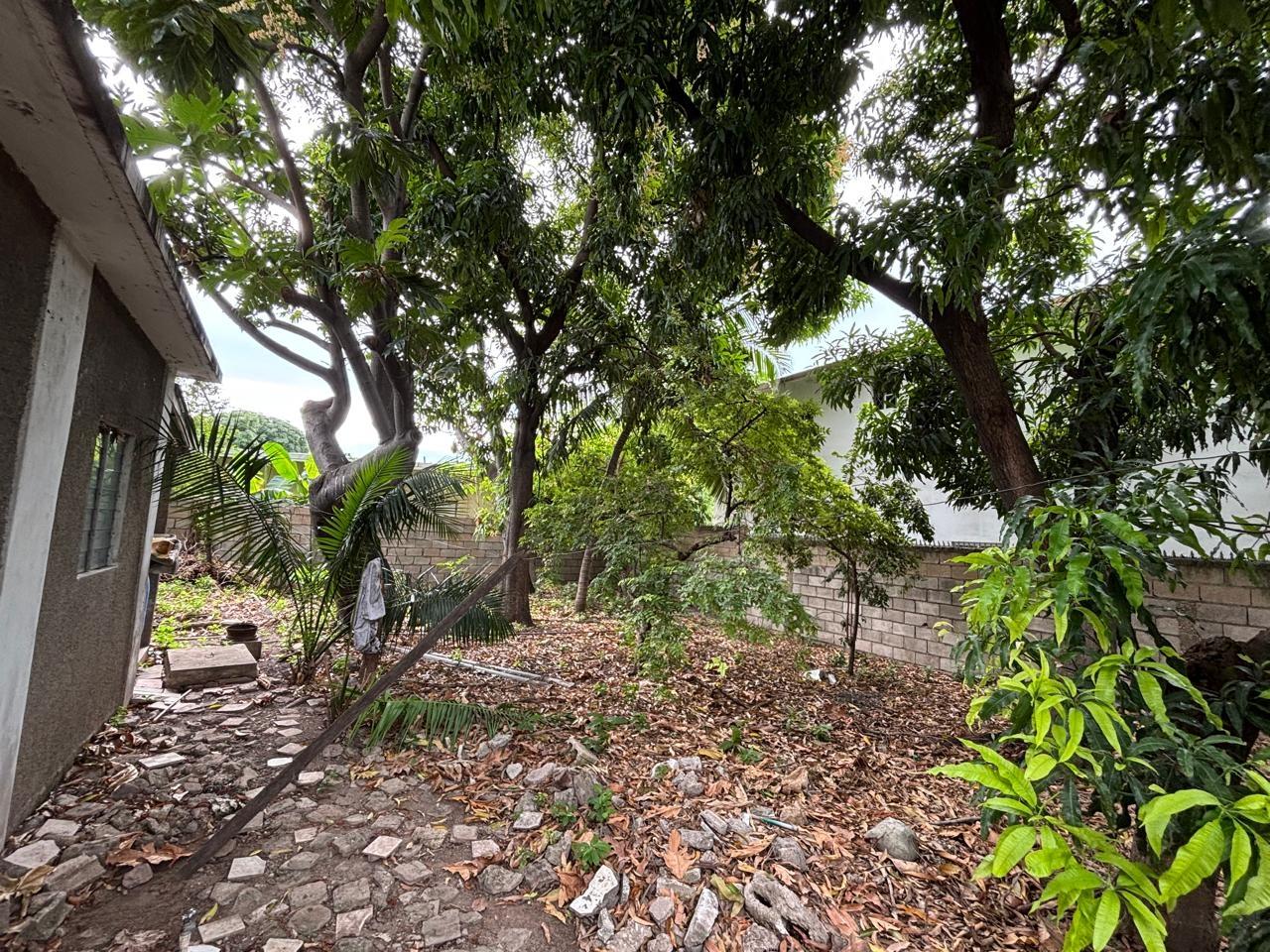 Twenty-Seventh image of 10 Queens Avenue in Kingston 10, St. Andrew, Jamaica - property is For Sale